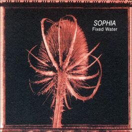 Album cover of Fixed Water