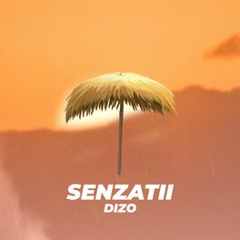Album cover of SENZATII (feat. angeles)