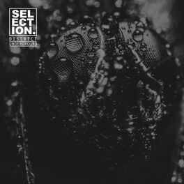 Album cover of Selection.