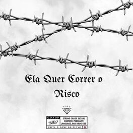 Album cover of Ela quer correr o risco