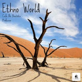 Album cover of Ethno World