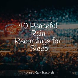 Album cover of 40 Peaceful Rain Recordings for Sleep