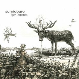 Album cover of Sumidouro