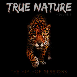 Album cover of True Nature: The Hip Hop Sessions, Vol. 9