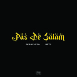 Album cover of Pas De Salam