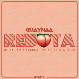 Album cover of Rebota (Remix)
