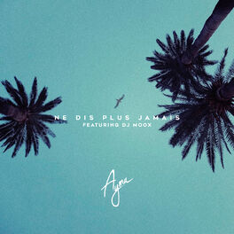 Album cover of Ne dis plus jamais