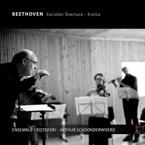 Beethoven : sonates pour violon et piano - Page 2 500x500-000000-80-0-0