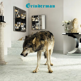 Album cover of Grinderman 2