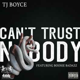 Album cover of Can't Trust Nobody (feat. Boosie Badazz)