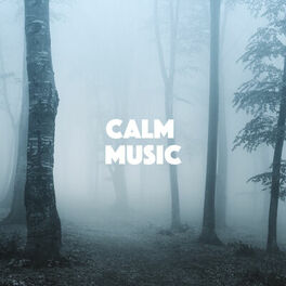 Album cover of Calm Music