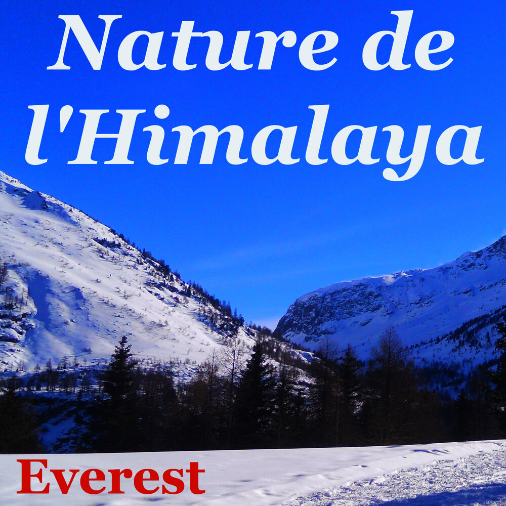 Everest песня. Nelly Adams.