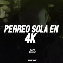Album cover of Perreo Sola En 4k (Remix)