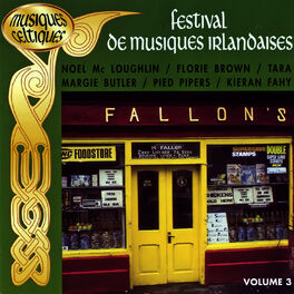 Album cover of Festival De Musiques Irlandaises Vol. 3 (Musiques Celtiques)