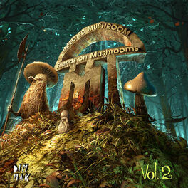 Album cover of Friends On Mushrooms, Vol. 2