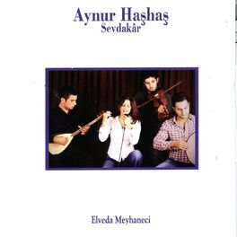 Album cover of Sevdakar