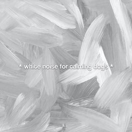 Album cover of * white noise for calming dogs *