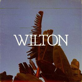 Album cover of Wilton