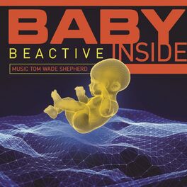 Album cover of Baby Inside