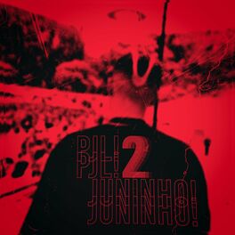 Album cover of PJL Juninho 2