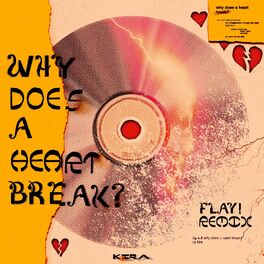 Album cover of Why Does a Heart Break? (Flay! Remix)