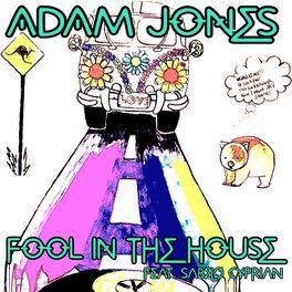Album cover of Fool In The House
