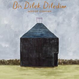 Album cover of Bir Dilek Diledim