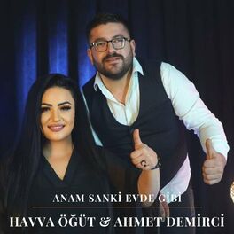 Album cover of Anam Sanki Evde Gibi