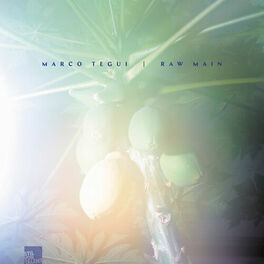 Album cover of Marco Tegui / Raw Main