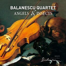 Album cover of Angels & Insects (Reissue)