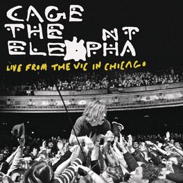 Album cover of Live From The Vic In Chicago