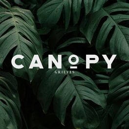 Album cover of Canopy
