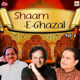 Album cover of Shaam E Ghazal Vol 2