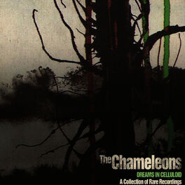 Album cover of Dreams in Celluloid: A Collection of Rare Recordings