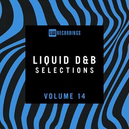 Album cover of Liquid Drum & Bass Selections, Vol. 14