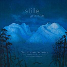 Album cover of stille grender