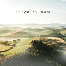 Album cover of Serenity Now