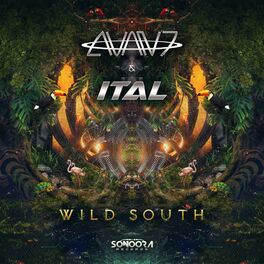Album cover of Wild South