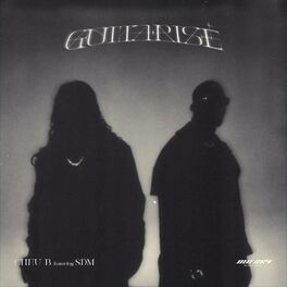 Album cover of Guitarisé (feat. SDM)