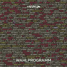 Album cover of Wahlprogramm