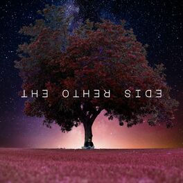 Album cover of The Other Side