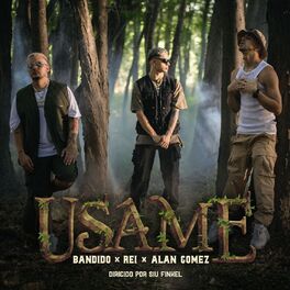 Album cover of USAME