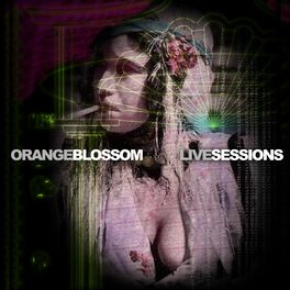 Album cover of Blossom Live Sessions