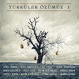 Album cover of Türküler Özümüz, Vol. 1