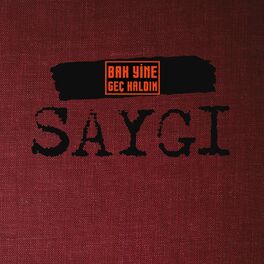 Album cover of Saygı