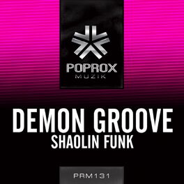 Album cover of Shaolin Funk