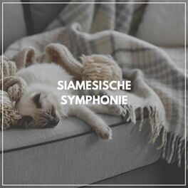 Album cover of Siamesische Symphonie