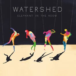 Album cover of Elephant in the Room