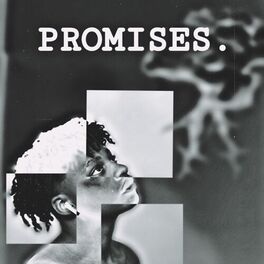 Album cover of Promises.