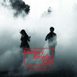 Album cover of Dust On The Ground